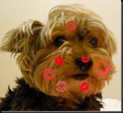 kissy pip