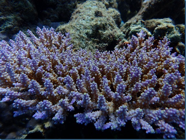 P9250261