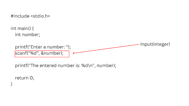 read input from the user in c