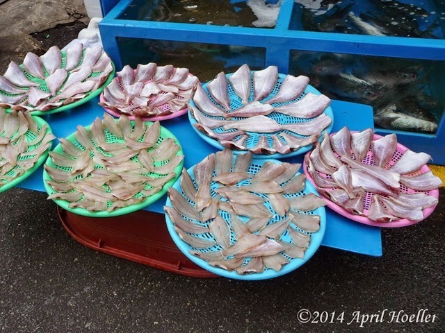 P1270301