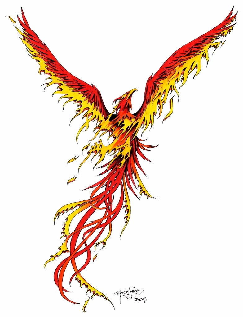 tattoo designs phoenix