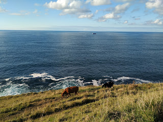 paseo de itxaslur