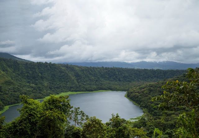 Hutan Hujan Tropis Terbesar