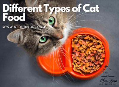 Understanding the Different Types of Cat Food and Their Benefits