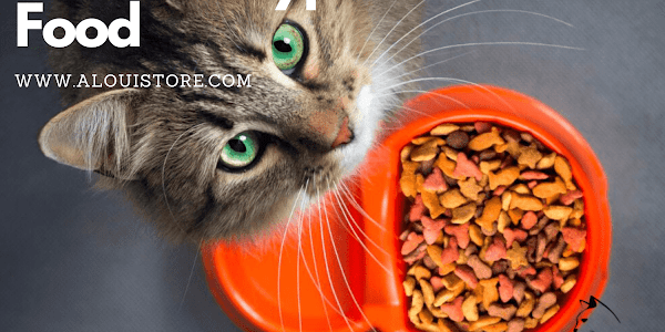 Understanding the Different Types of Cat Food and Their Benefits