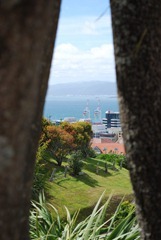 V - Wellington (28)