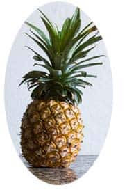 ananas-summer-fruit