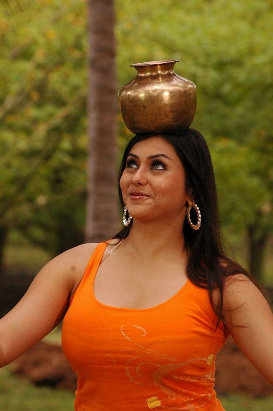 Actress Namitha Hot Movie StillsNamitha In Fire Movie Stills glamour images