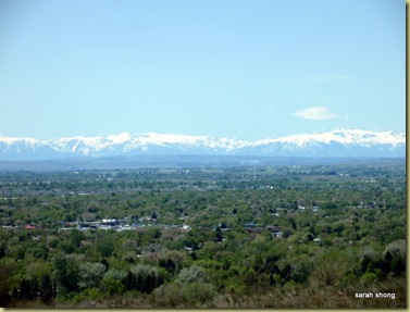 MT-Billings