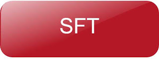  sft13