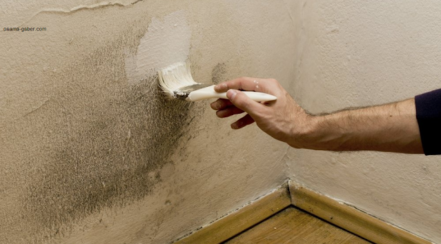 علاج الرطوبة في الحوائط والجدران