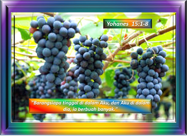  YOHANES 15:1-8