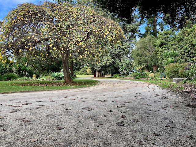 Werribee Park Mansion Gardens