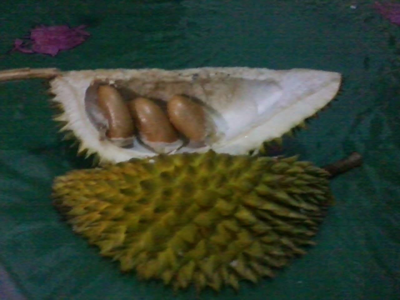 Fakta unik kulit durian yang menguntungkan