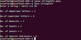 String Info in Java