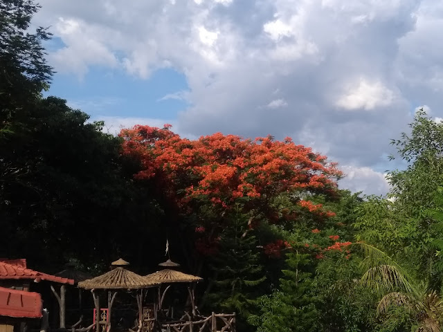 May, Pune, Lake, Rain