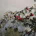 RED APPLES ON TREE