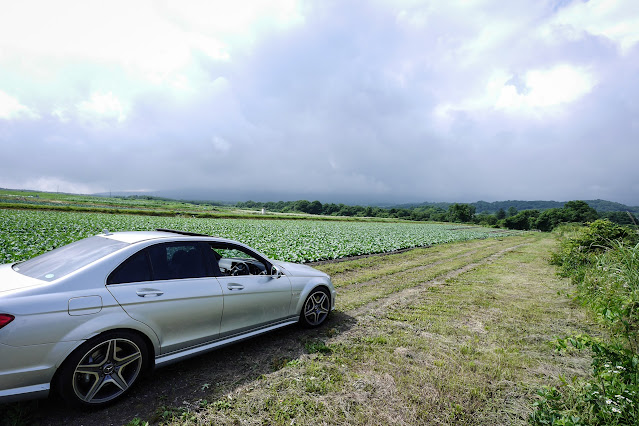 C63AMG