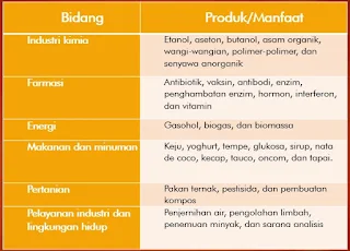 prinsip dasa bioteknologi