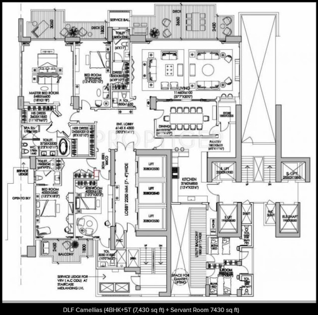 DLF Camellias 4BHK+5T(7430 SQ.ft.) Floor Plan