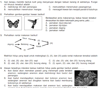 Contoh Soal Try Out IPA Kelas 6 MI/SD