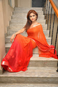 Sony Charista Glamorous in Saffron saree-thumbnail-10