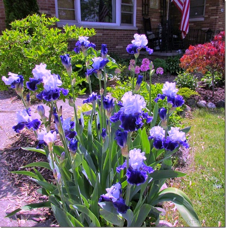 Spring Garden Photos 2015 @ Rustic-refined.com