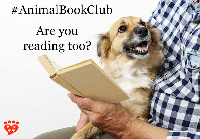 A man reads a book with a happy little dog on his lap.The book of the month is Dog Sense by John Bradshaw