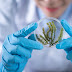 The Role of Probiotics in Digestive Health and Immune Function