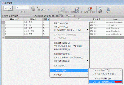 フィールドの削除をクリック