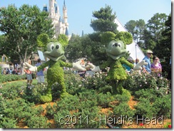 Florida 2011 1086