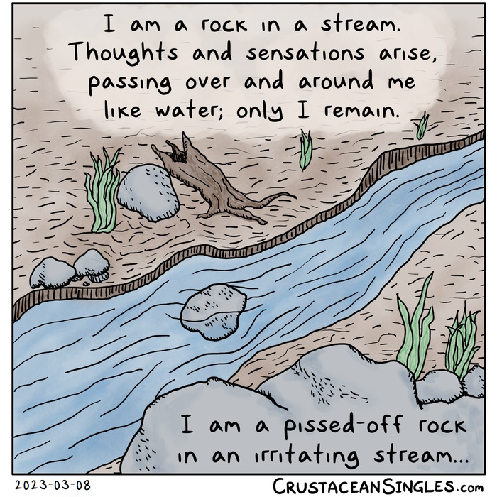 Pictured: a stream flows across a forest landscape; plants grow among fallen leaves and stones on the banks of the stream. One rock is in the stream, partially submerged. Top caption: "I am a rock in a stream. Thoughts and sensations arise, passing over and around me like water; only I remain." Bottom caption: "I am a pissed-off rock in an irritating stream..."