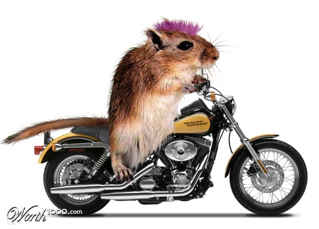 The Mouse and the Motorcycle