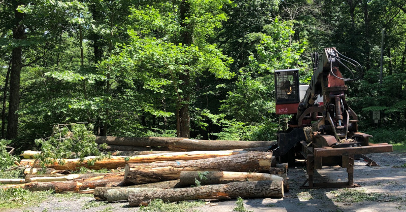 Commercial logging machinery at Roaring Rock Park
