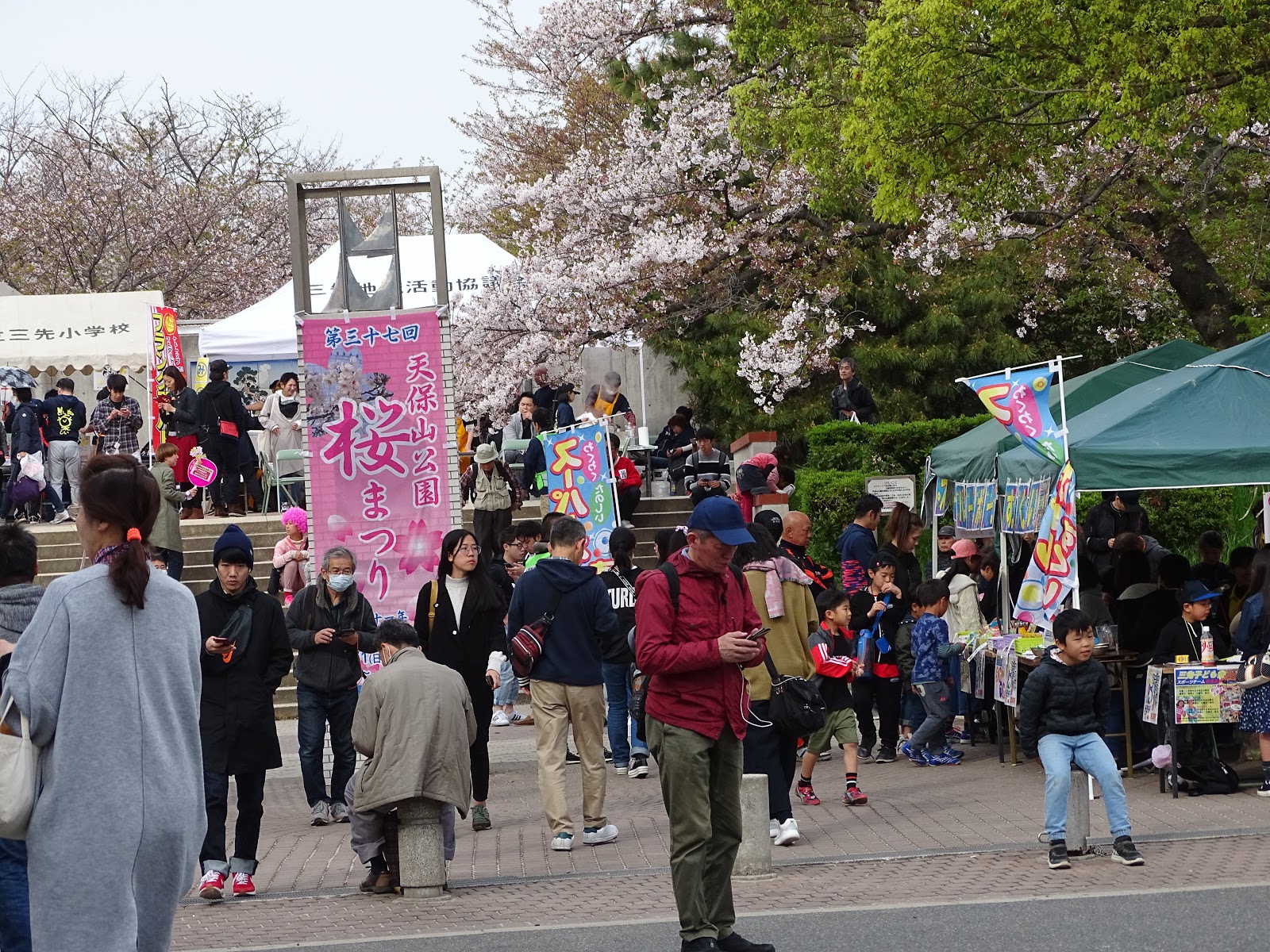 Kansai Culture Temposan Cherry Blossoms