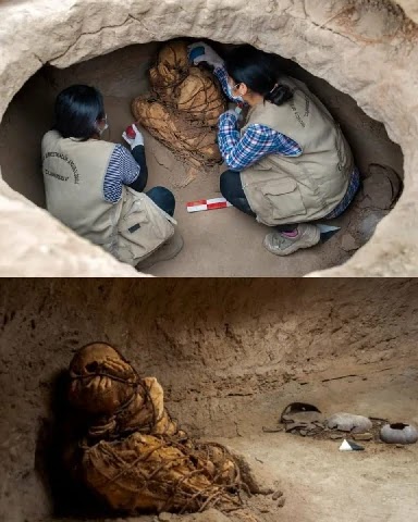 اكتشاف مفاجئ ، العثور على مومياء عمرها 800 عام في بيرو