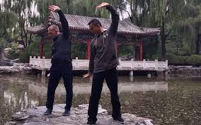 Qigong videos