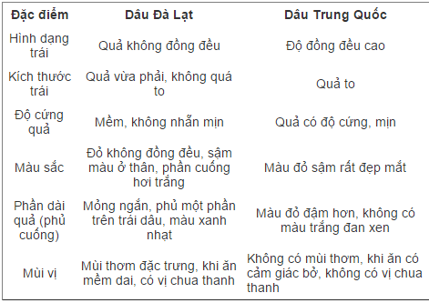 so sánh quả dâu