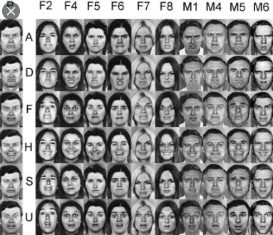 Ekman 60-faces test