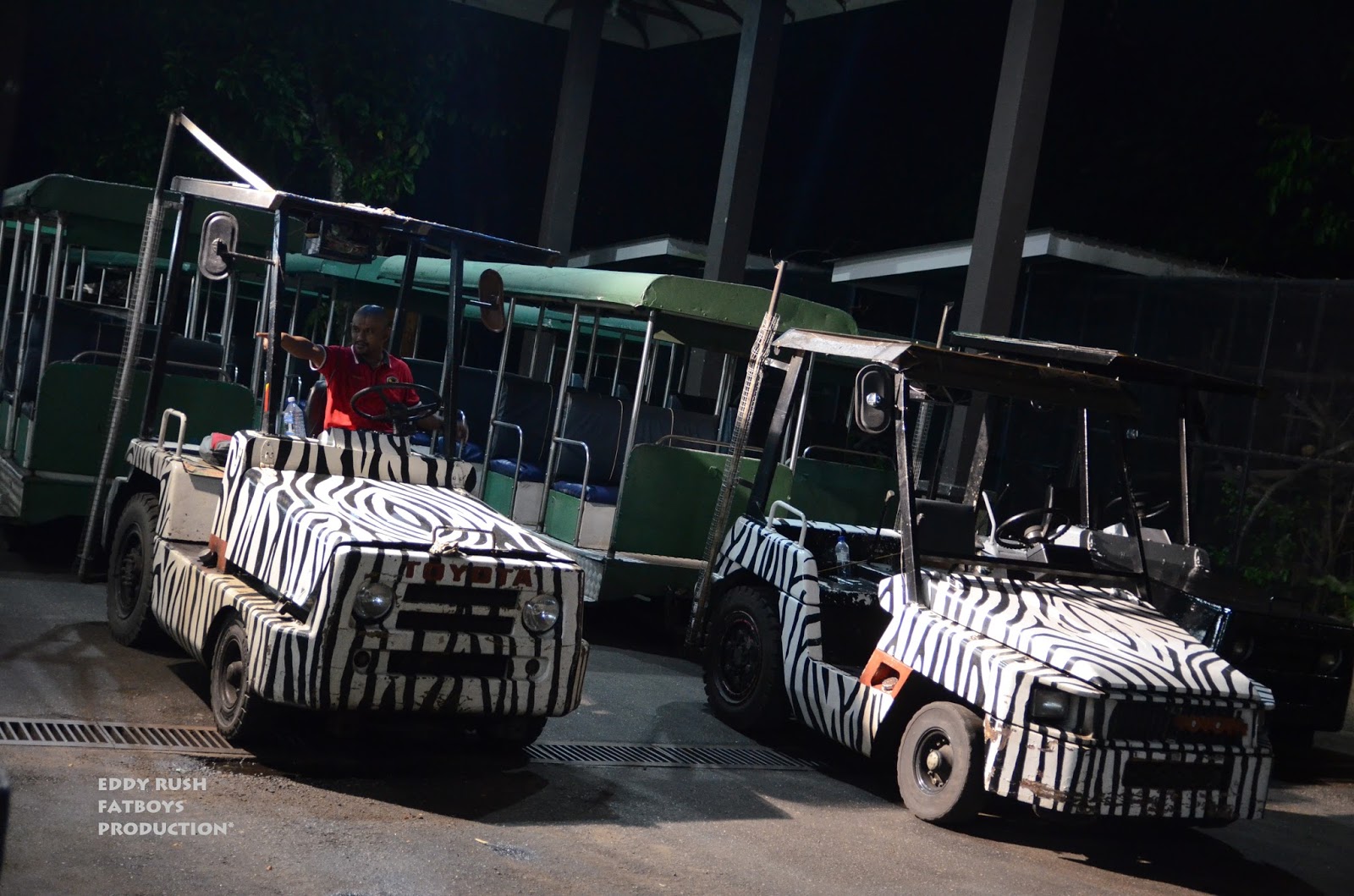 Night Safari & Zoo Taiping