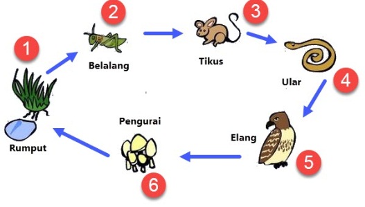 tema-5-kelas-5-subtema-2