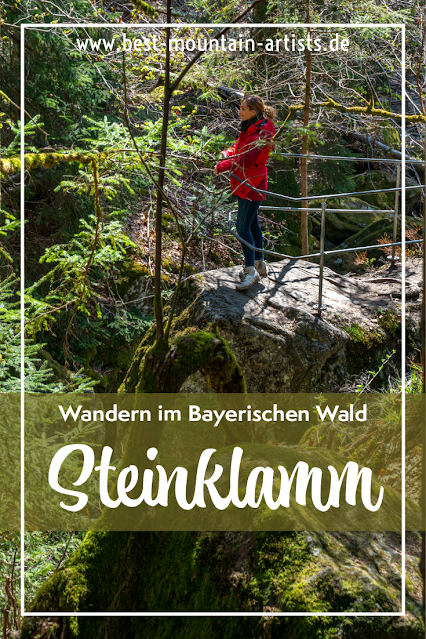 Rundweg Steinforelle | Wanderung Spiegelau – Steinklamm – Stausee-Großarmschlag | Bayerischer Wald 13