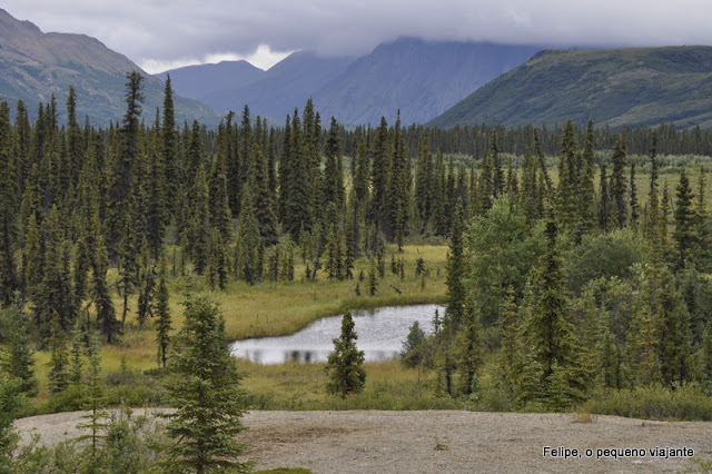 denali_national_park_alaska