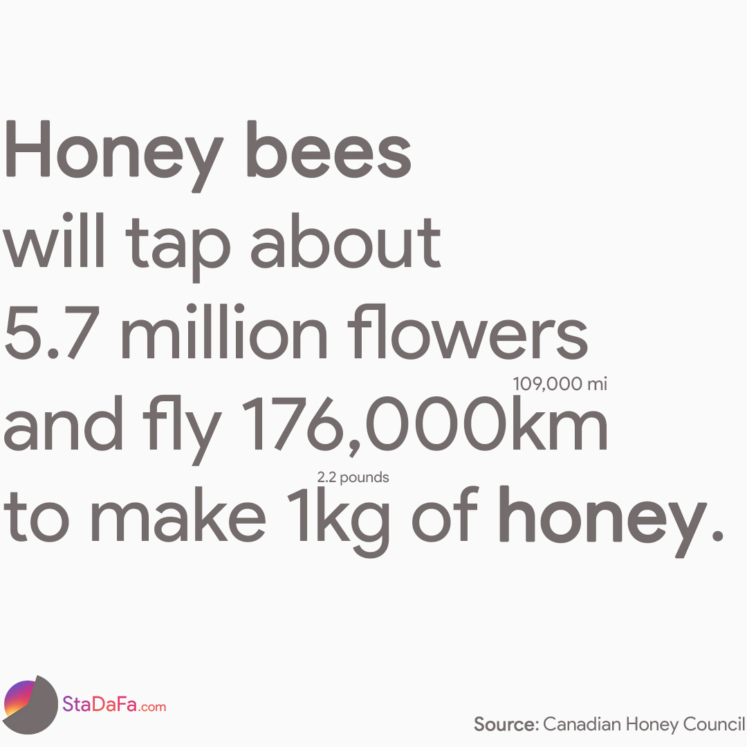 Honey bees will tap about 6 million flowers and fly over 170,000km to make 1kg of honey