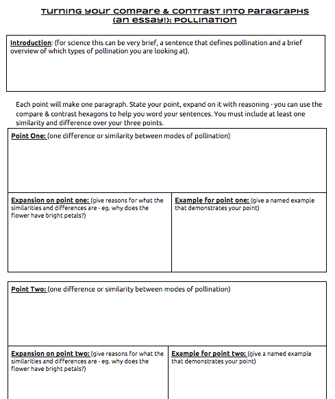 Essay scaffold pdf