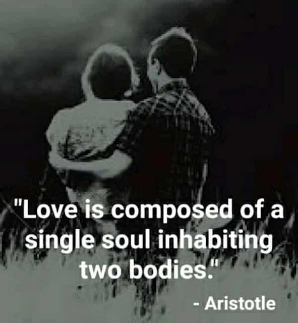 Aristotle-quotes-love-soul-body