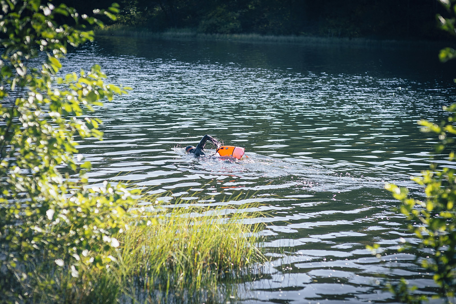 Jezioro, przyroda, natura, Kaszuby, pływanie, AeroKadr.com