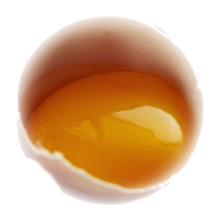 leftover egg yolk, by-products when cooking