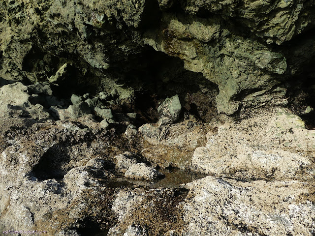 hole in the rocks with pool below and encrusted with barnacles and such