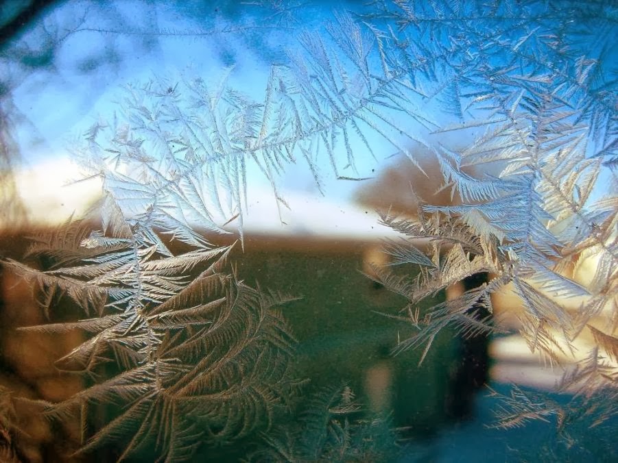 Magical Floral Patterns on the Window